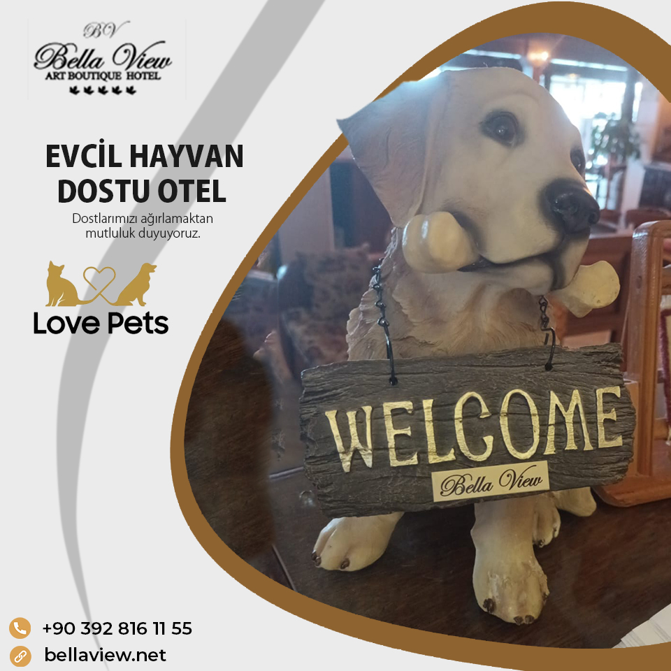 evcil-hayvan-dostu
